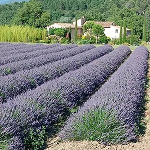  Bed & Breakfast D'hotes Du Mas De Longuefeuille France